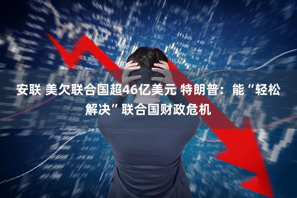 安联 美欠联合国超46亿美元 特朗普：能“轻松解决”联合国财政危机