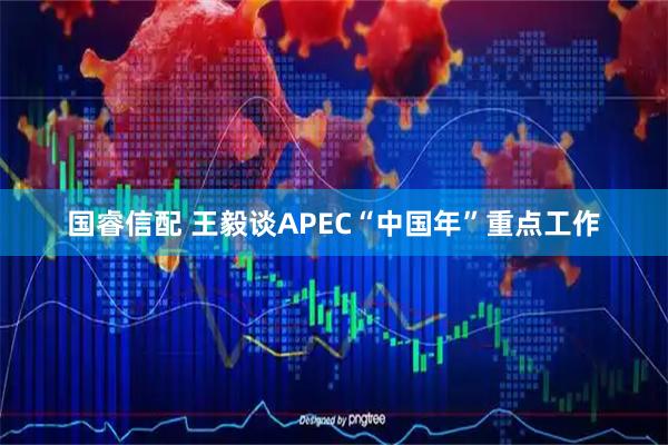 国睿信配 王毅谈APEC“中国年”重点工作