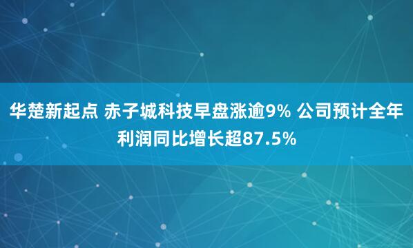 华楚新起点 赤子城科技早盘涨逾9% 公司预计全年利润同比增长超87.5%