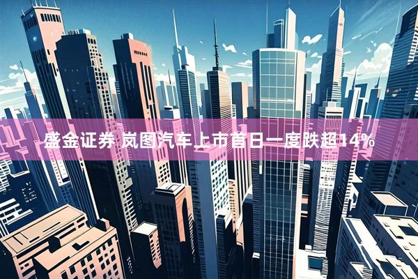 盛金证券 岚图汽车上市首日一度跌超14%