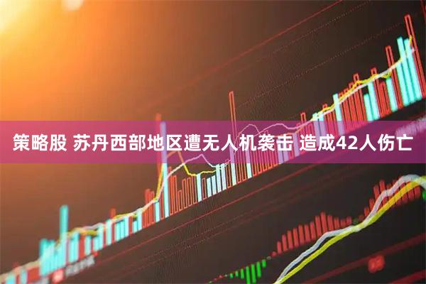 策略股 苏丹西部地区遭无人机袭击 造成42人伤亡