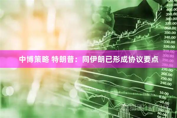 中博策略 特朗普：同伊朗已形成协议要点