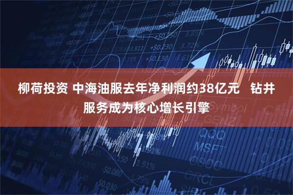 柳荷投资 中海油服去年净利润约38亿元   钻井服务成为核心增长引擎