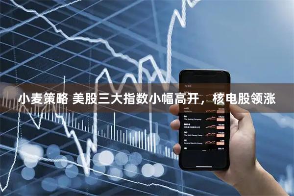 小麦策略 美股三大指数小幅高开，核电股领涨