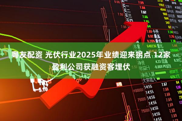 粤友配资 光伏行业2025年业绩迎来拐点 12家盈利公司获融资客埋伏