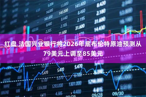 红盘 法国兴业银行将2026年底布伦特原油预测从79美元上调至85美元