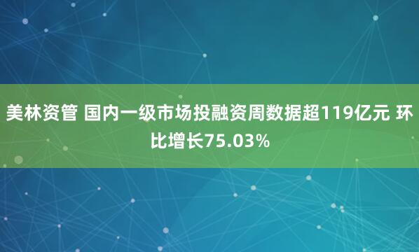 美林资管 国内一级市场投融资周数据超119亿元 环比增长75.03%