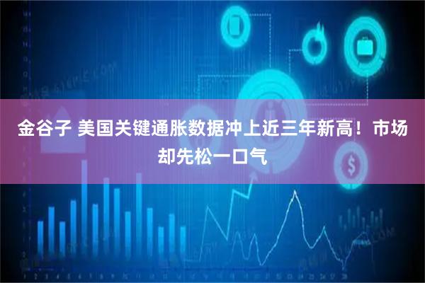 金谷子 美国关键通胀数据冲上近三年新高！市场却先松一口气